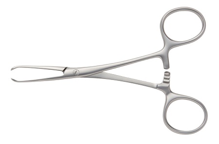 PORRIER Intestinal Forceps 2:3 Teeth